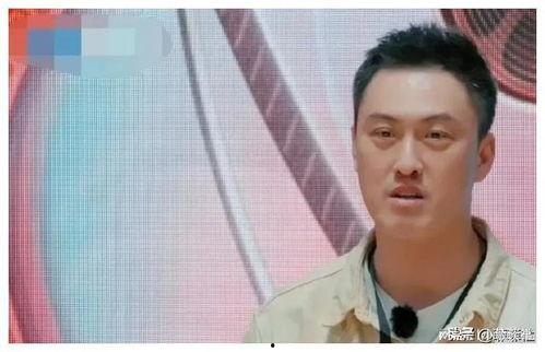 吃瓜娱乐圈王子,娱乐圈的瓜田传奇